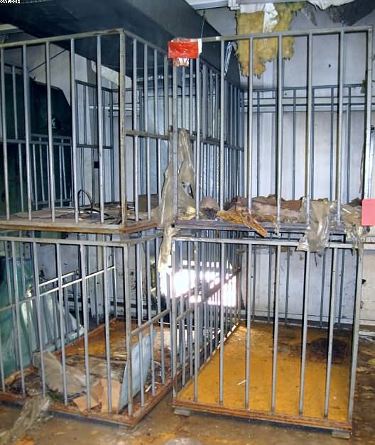 TUBULAR CAGES